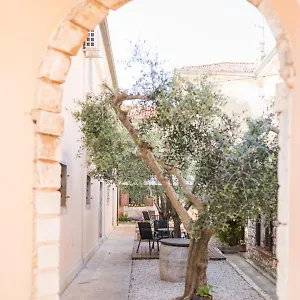 Maslina , Seget (Umag) Croazia