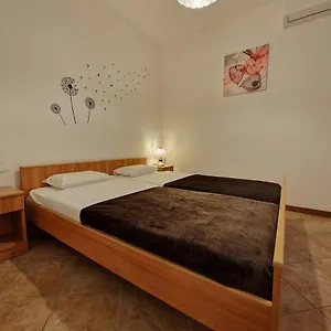 Maslina , Vodnjan Croazia